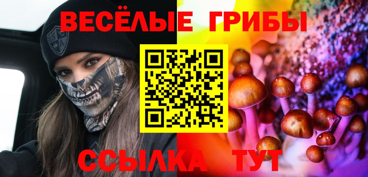 Галлюциногенные грибы прущие грибы Кольчугино