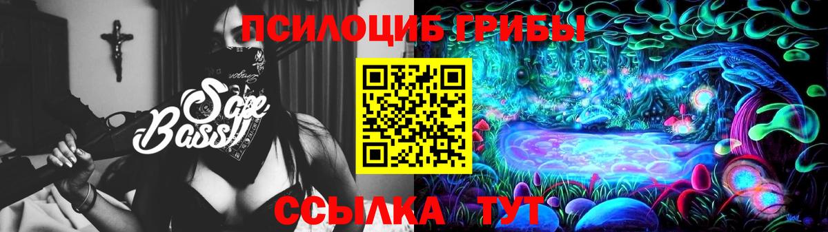 Псилоцибиновые грибы Psilocybe  Вход с VPN  Кольчугино 