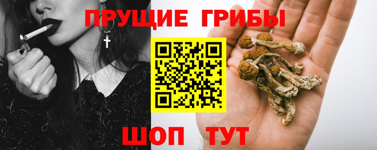 МЕТАДОН Кольчугино